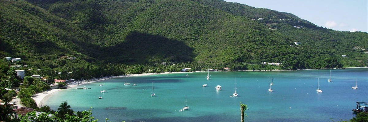 bvi_1