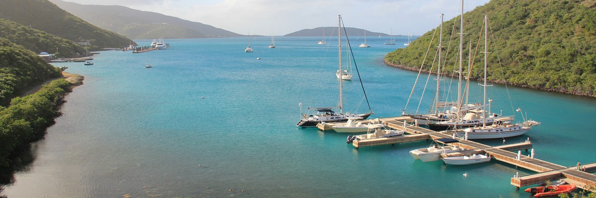 bvi_2