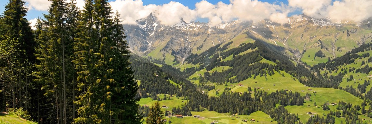 swiss_5
